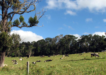 Окрестности Атертона – фотографии Австралии