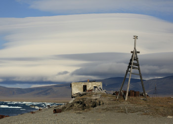 Остров Врангеля, Чукотский автономный округ. Фото 2 – фотографии России