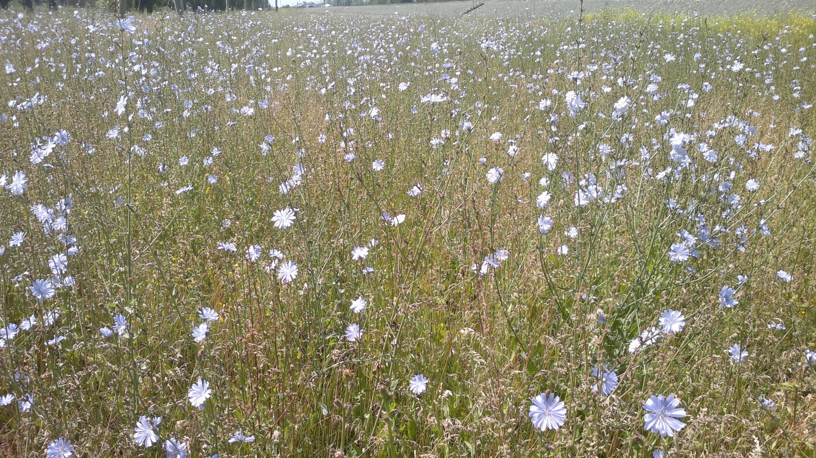 Фото 266290 – фотографии России