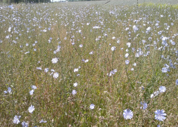 Фото 266290 – фотографии России
