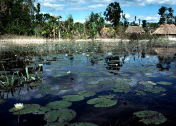 Коба, Мексика, фото № 43535 – фотографии Мексики