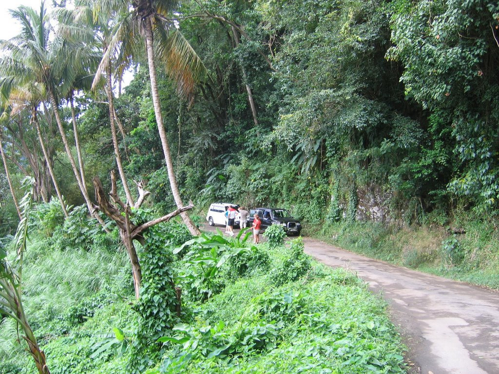 Островное государство Гренада (Grenada) – фотографии Гренады