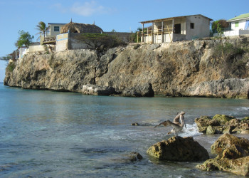 Cura_ao_Westpunt_pelican – фотографии Кюрасао