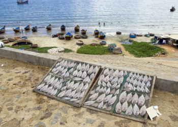 Фиш – фотографии Вьетнама