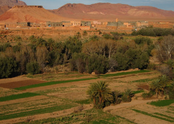 Эрфуд, Марокко, фото № 8725 – фотографии Марокко