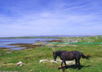Ирландия, фото № 2539 – фотографии Ирландии