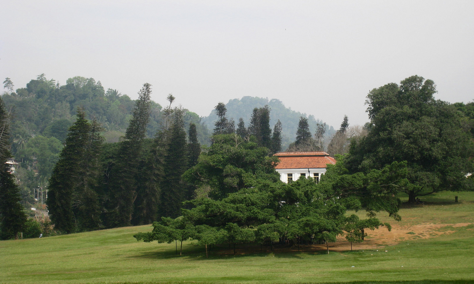 Ботанический сад в Канди, Шри-Ланка. Фото 6 – фотографии Шри-Ланки