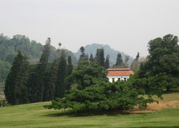 Ботанический сад в Канди, Шри-Ланка. Фото 6 – фотографии Шри-Ланки