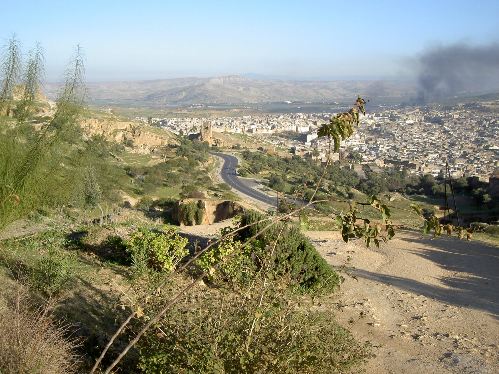 Фес, Марокко, фото № 8570 – фотографии Марокко