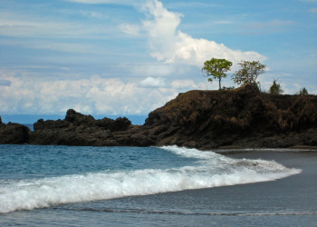 о.Каньо, Пунтаренас провинция, Коста-Рика, фото № 40821 – фотографии Коста-Рики