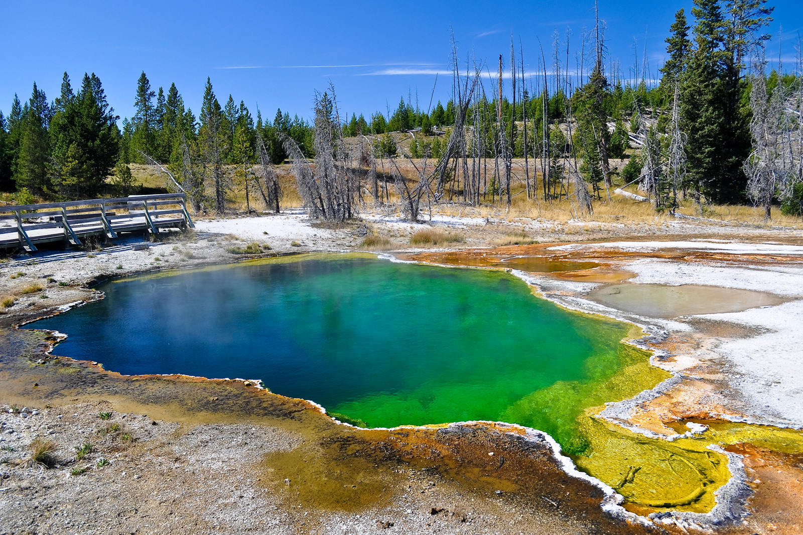 Национальный парк Yellowstone – фотографии США