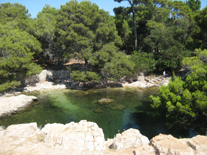 Природа на острове Локрум, Хорватия. Фото 5 – фотографии Хорватии