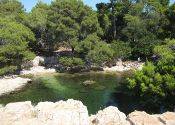 Природа на острове Локрум, Хорватия. Фото 5 – фотографии Хорватии