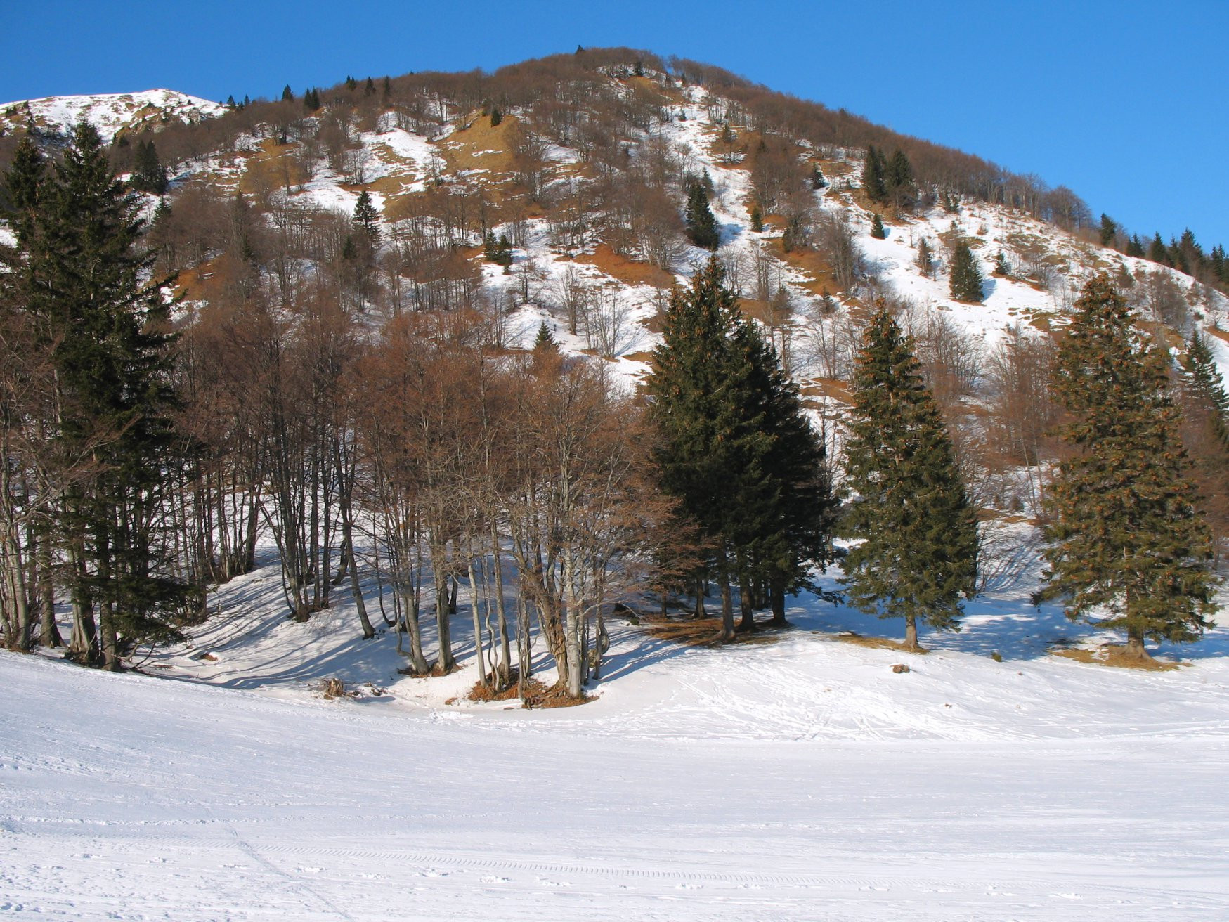 Соришка Планина, Словения, фото № 57546 – фотографии Словении