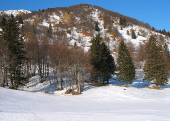 Соришка Планина, Словения, фото № 57546 – фотографии Словении