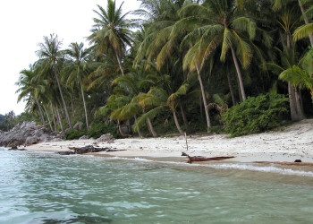 Пляж в Талинг-Нгам-Бич, Тайланд. Фото 8 – фотографии Таиланда