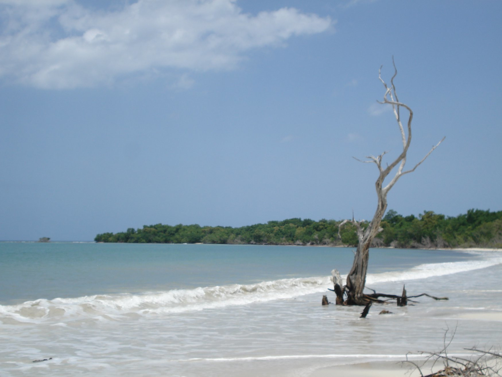 Море в Уайтхаусе, Ямайка. Фото 5 – фотографии Ямайки