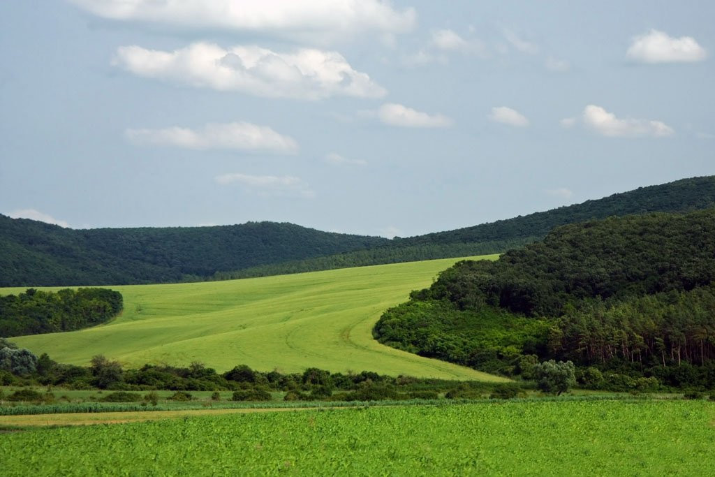 Вац, Венгрия, фото № 70130 – фотографии Венгрии