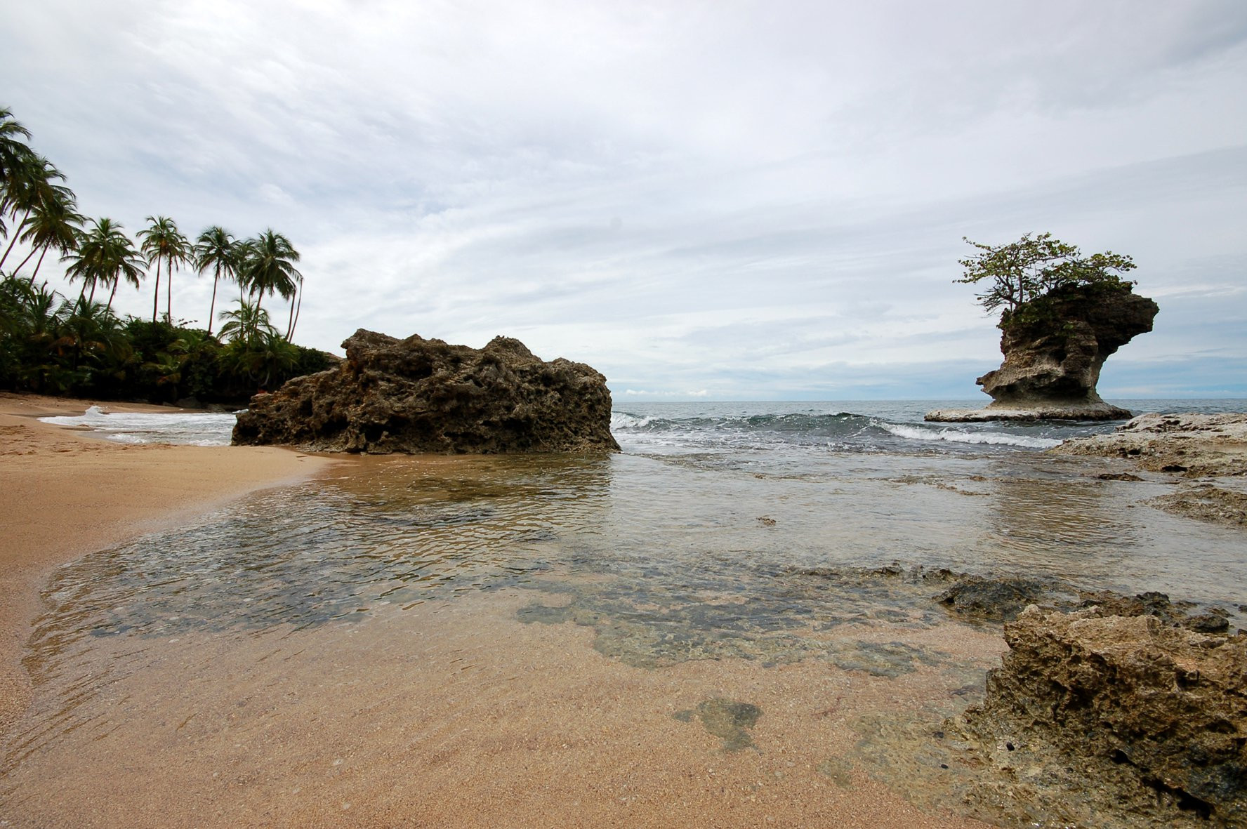 Манзанилло, Лимон провинция, Коста-Рика, фото № 40124 – фотографии Коста-Рики