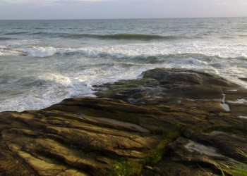 Индурува, Шри-Ланка, фото № 51167 – фотографии Шри-Ланки