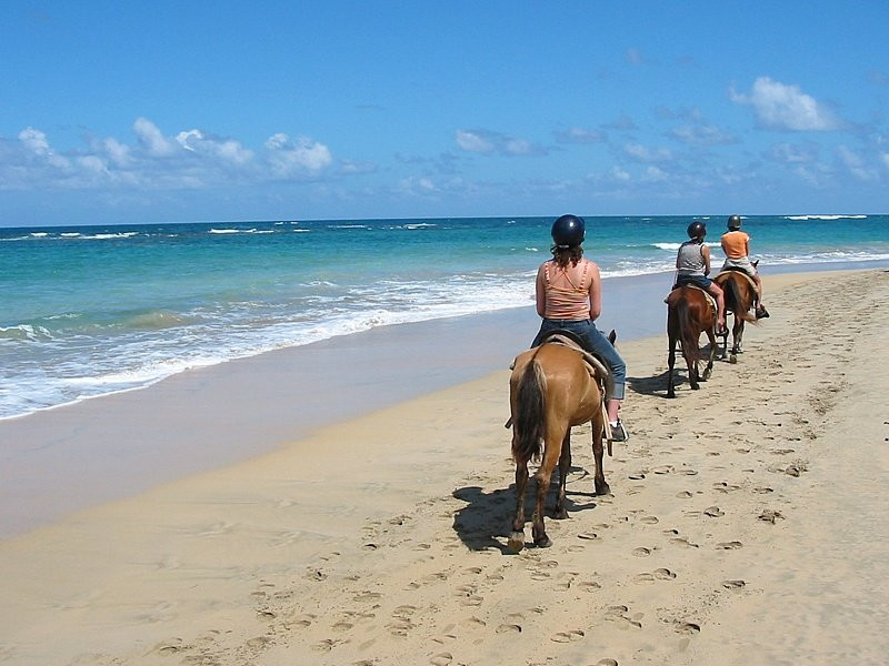 Пунта-Кана, Доминикана, фото № 30496 – фотографии Доминиканы