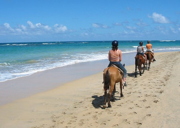 Пунта-Кана, Доминикана, фото № 30496 – фотографии Доминиканы