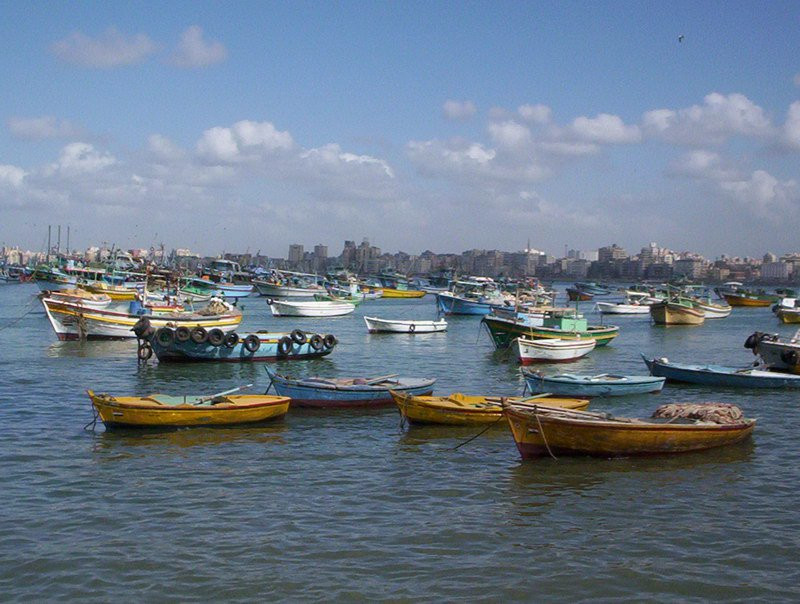 Александрия, Египет, фото № 34853 – фотографии Египта