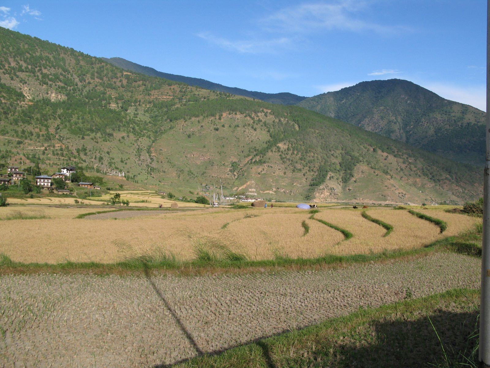 Бутан, фото № 4717 – фотографии Бутана