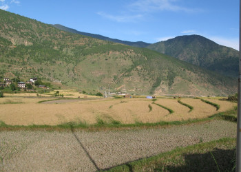 Бутан, фото № 4717 – фотографии Бутана