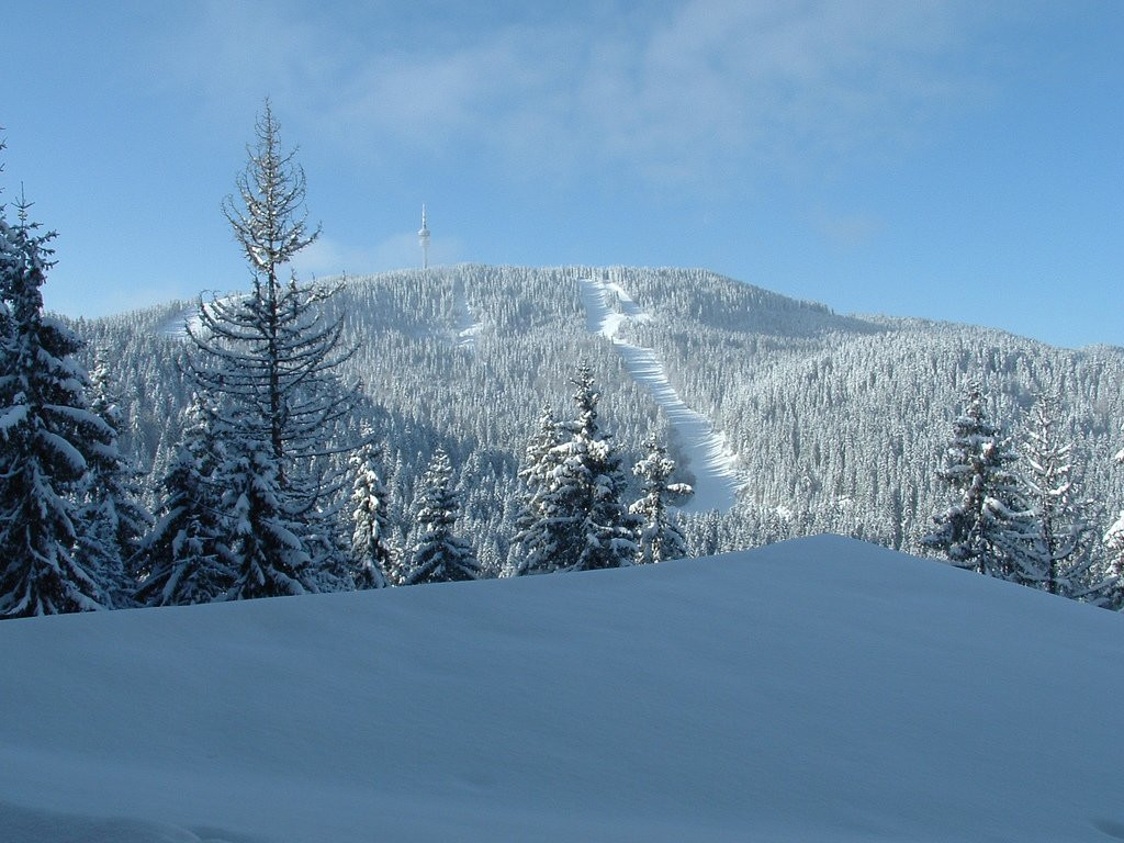 Природа в Пампорово, Болгария. Фото 17 – фотографии Болгарии