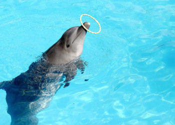 Мексика, фото № 965 – фотографии Мексики