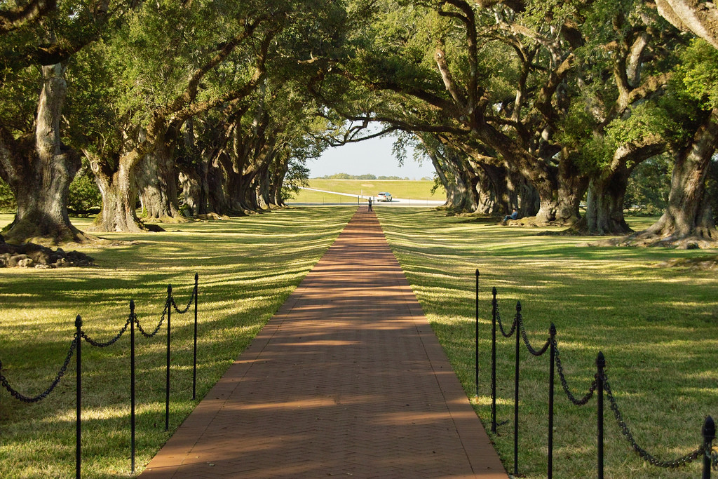 Плантация Дубовая Аллея – фотографии США