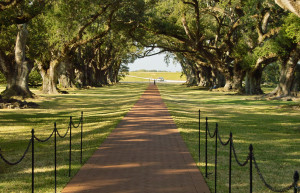Плантация Дубовая Аллея – фотографии США