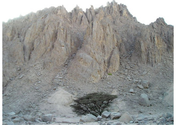 Хургада, Египет, фото № 35542 – фотографии Египта