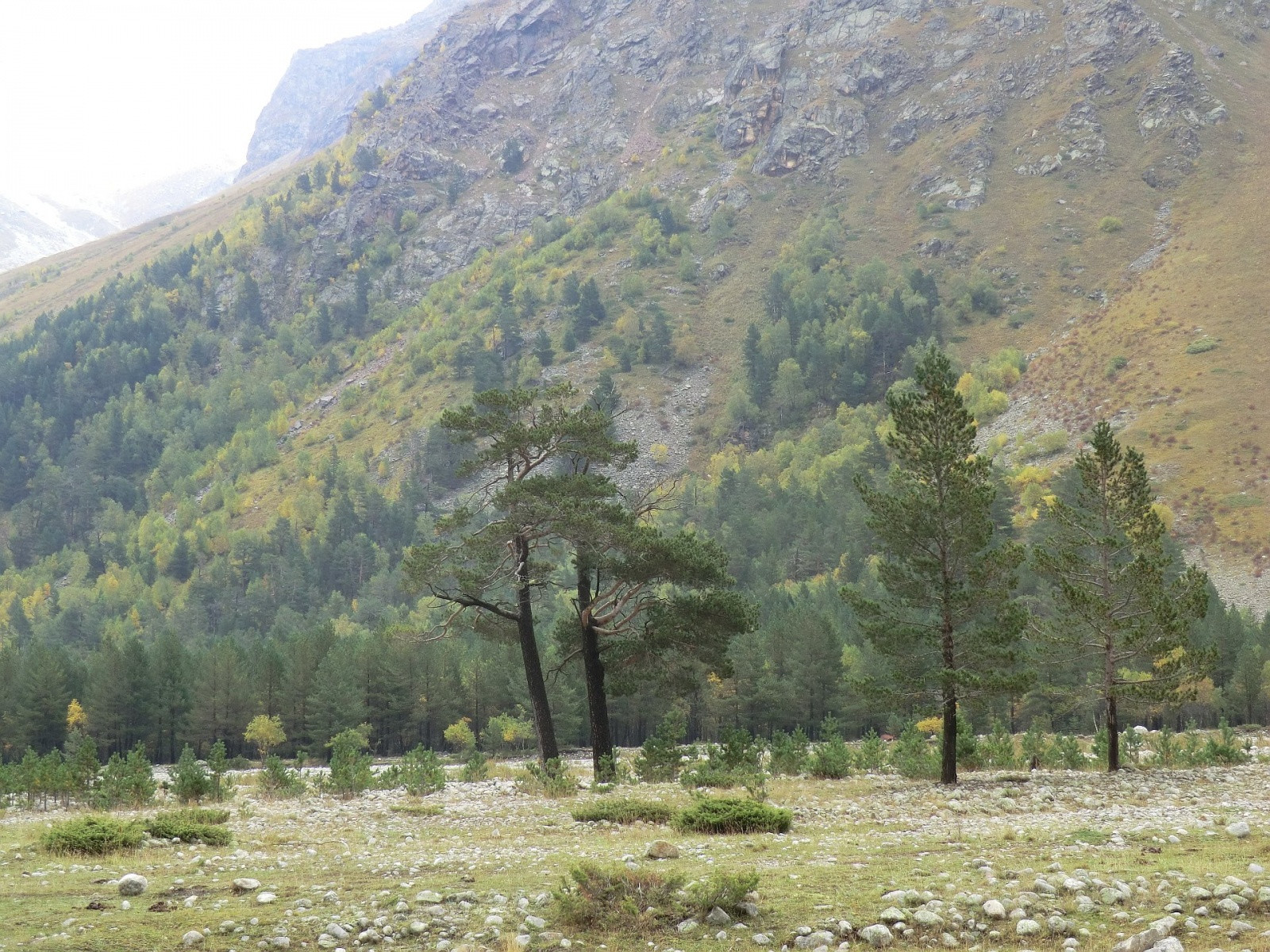 Ущелье Адыр-Су, Кабардино-Балкария, Россия. Фото 4 – фотографии России