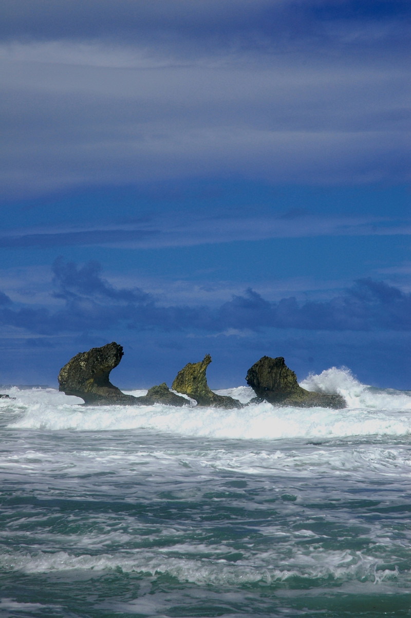 Море в Батшиба, Барбадос. Фото 10 – фотографии Барбадоса