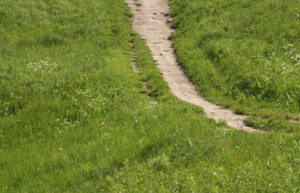 Калпалинна, Финляндия, фото № 74533 – фотографии Финляндии