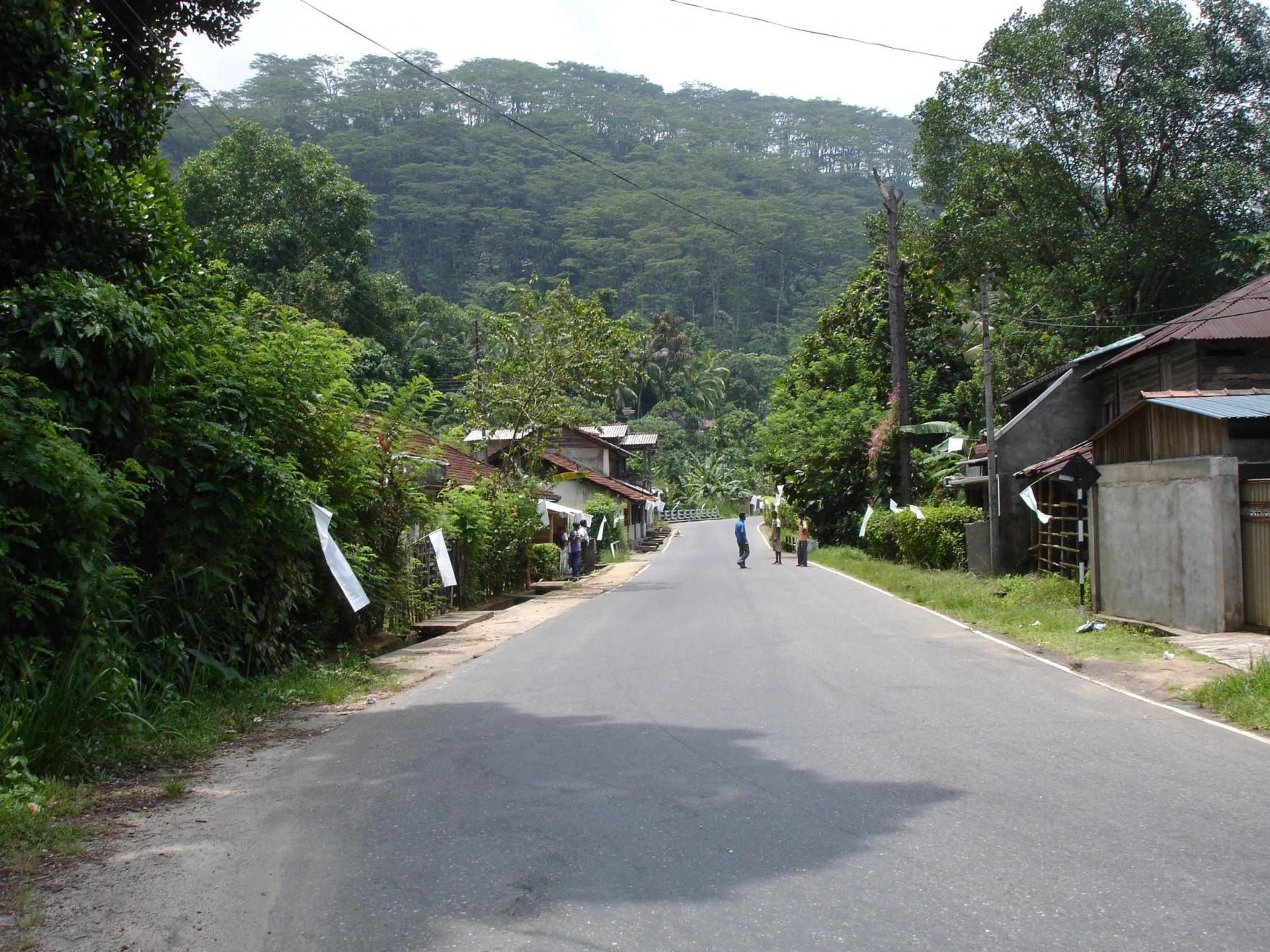 Китулгала, Шри-Ланка, фото № 51496 – фотографии Шри-Ланки