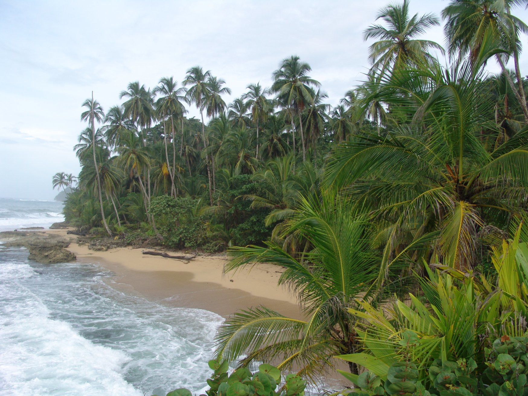 Пуэрто Вьехо, Лимон провинция, Коста-Рика, фото № 40174 – фотографии Коста-Рики