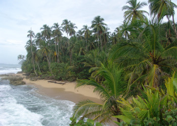 Пуэрто Вьехо, Лимон провинция, Коста-Рика, фото № 40174 – фотографии Коста-Рики