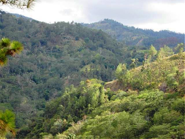 Ла-Романа, Доминикана, фото № 30422 – фотографии Доминиканы