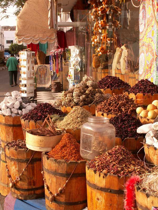 Египет, фото № 562 – фотографии Египта