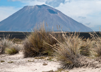 Великолепные пейзаж заповедника Салинас и Агуада-Бланка – фотографии Перу