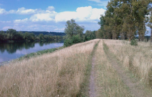 Природа в Суджа, Россия. Фото 1 – фотографии России