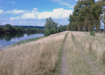 Природа в Суджа, Россия. Фото 1 – фотографии России