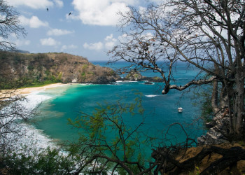 Фернанду-ди-Норонья, Бразилия, фото № 60439 – фотографии Бразилии