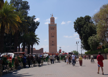 Марракеш, Марокко, фото № 7712 – фотографии Марокко