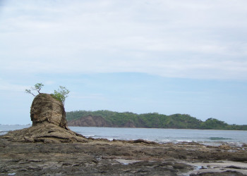 Плайя Карильо, Гуанакасте провинция, Коста-Рика, фото № 39533 – фотографии Коста-Рики