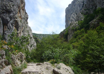 Природа Национального парка, Хорватия. Фото 14 – фотографии Хорватии