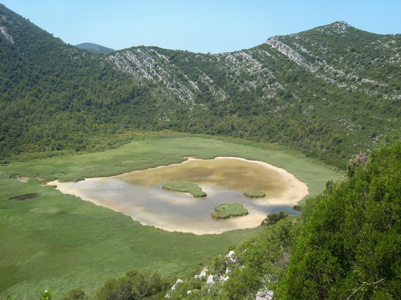 Болото на острове Млет, Хорватия. Фото 5 – фотографии Хорватии